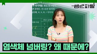 염색체 넘버링? 왜 때문에?ㅣ과학 김태영T [대성마이맥]