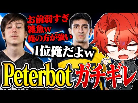 今海外で話題のPeterbotが"ガチギレ"してる件について【フォートナイト/Fortnite】