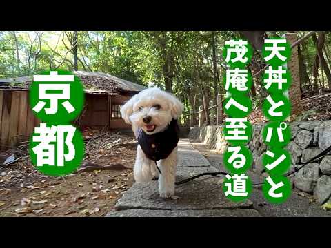 Kyoto/The Path leading to cafe "Mo-an"/Tempura Testaurant/Bakery/Kyoto Sightseeing & Travel