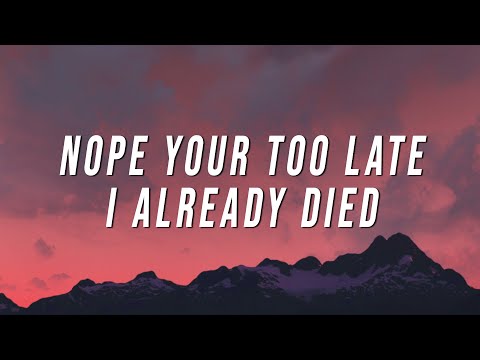 wifiskeleton - nope your too late i already died (Lyrics)