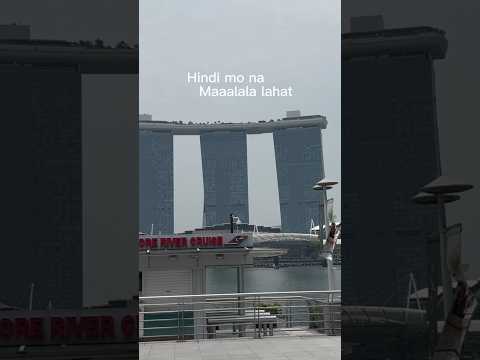 Realtalk! #shorts  #Singapore #merlionsingapore #marinabay #shortvideo #travel #vlogger #wow