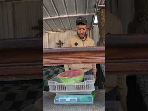 Watermelon break in Algeria