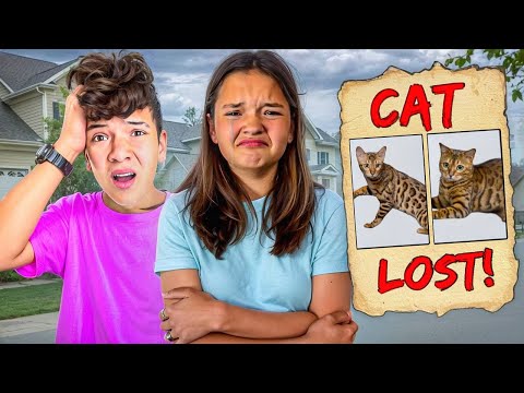 We LOST our CATS! Parents out of TOWN! *emotional*