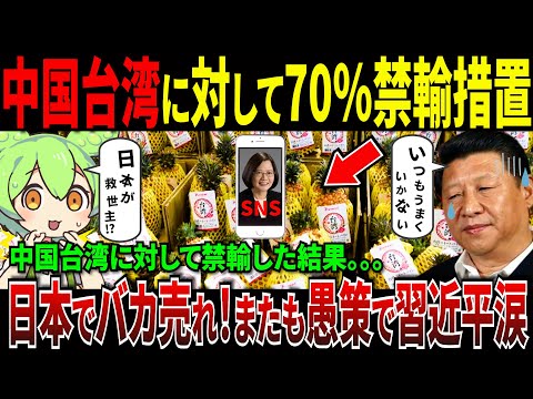 中国の嫌がらせが横行！日本が台湾を救った本当の理由とは？【ずんだもん＆ゆっくり解説】