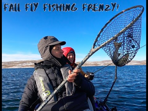 Fall Fly Fishing Frenzy.  How to troll for trout with sinking fly lines.