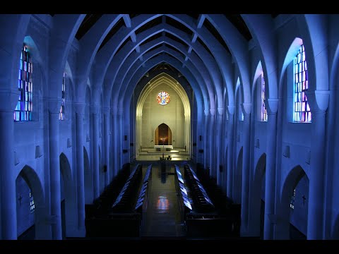 Catholic Meditation with Organ Sounds 6 | Non-Stop Organ Sounds, Catholic Prayer