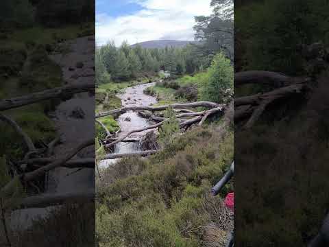 Cairngorm Bikepacking: Wild & Wet