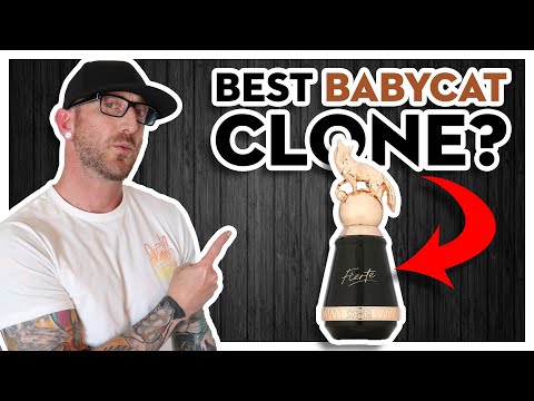 INCREDIBLE CLONE? Fragrance World French Avenue Fierte  | Men's Middle Eastern Fragrance Dupe Review