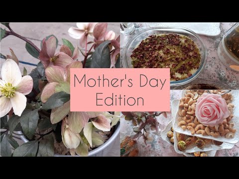 Mother's Day Edition: Hellebore's, Desserts & Mother's Day Message 🌸