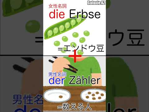 ドイツ🇩🇪語で「エンドウ豆を数える人」ってどんな人？🗣️🧐 #shorts #ドイツ語