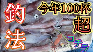 How to catch 100 cups this year!! ️ here is the fishing method that is very active!! ️