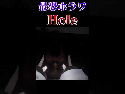 最恐のホラーワールド｢Hole｣にビビり散らすVRChatter #vrchat