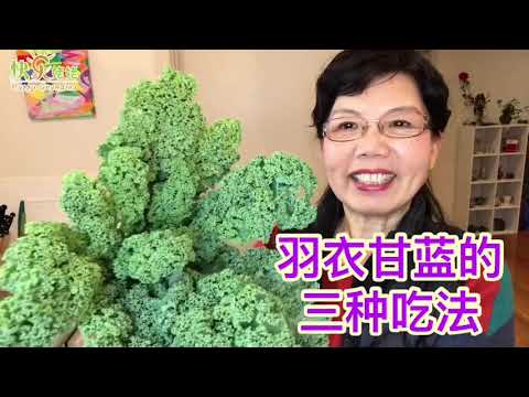 你吃过这种“超级食物”吗？不要让习惯障碍了我们，跟快乐姥姥一起，用营养丰富的“羽衣甘蓝”做三种美食吧！（快乐姥姥·85）