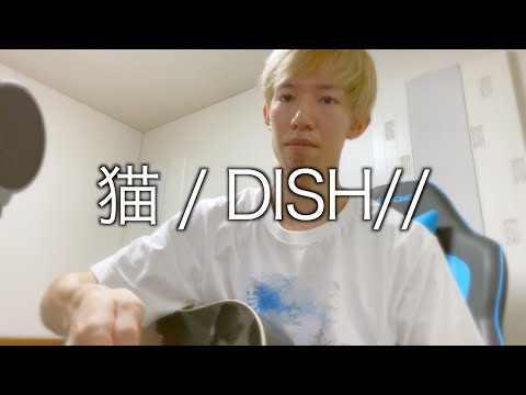 猫 / DISH//を独特に歌い上げる少年