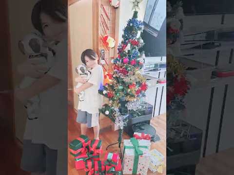 クリスマスツリー装飾🎄2024今年もこの時期がやってきましたー🎅早速MANATOと飾り付け♪去年はママが頑張ったけど今年はほとんどMANATOがやってくれましたー🥰⭐️