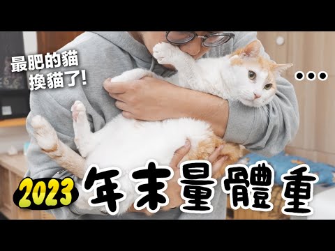 【黃阿瑪的後宮生活】2023年末量體重！最肥的貓換貓了！