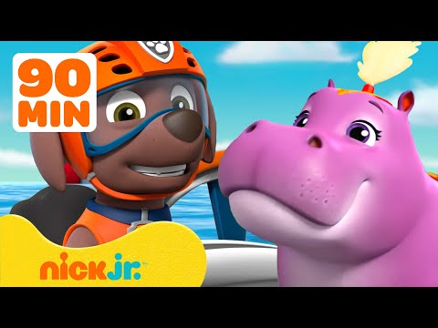 PAW Patrol Zuma’s Water Animal Rescues & Adventures! 🦛 90 Minutes | Nick Jr.