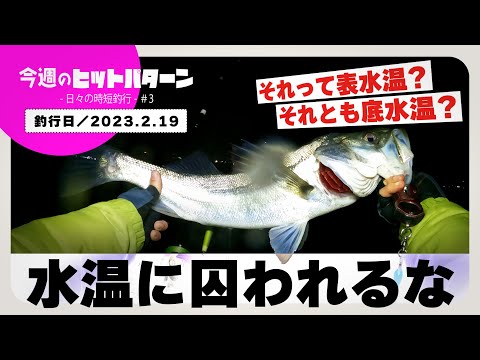 【三重北部のシーバス】水温に囚われ過ぎてはいけない／表水温と底水温は刻々と変化する【2023.2.19 今週のヒットパターン ‐日々の時短釣行‐／＃3】