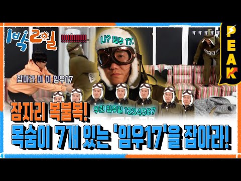 [#피크타임] 목숨이 7개! 잠자리 복불복 '임우17을 잡아라' | #1박2일시즌4 | KBS 250309 방송