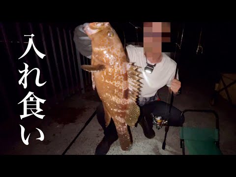 最強の釣りで堤防から幻の魚が釣れまくる。