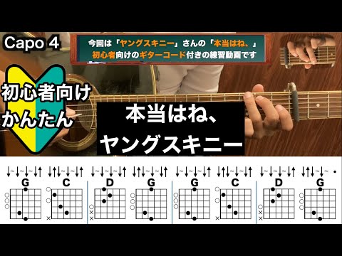 本当はね、/ヤングスキニー/ギター/コード/弾き語り/初心者向け/簡単