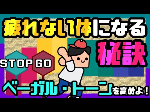 【メンタルが不安定な方へ】疲れない心と体の秘訣とは？心を安定させる自律神経の話【セロトニン】