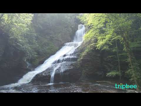 🌳Dingman’s Falls Delight: 1 Hour of Ambient Waterfall Sounds to Help Relax, Meditate, & Concentrate