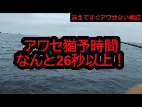 ティップランであえてすぐアワせない検証【アタリが分からずアワセが遅れても大丈夫ってホント？？？】