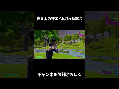 世界１の神エイムだった日【フォートナイト/FORTNITE】