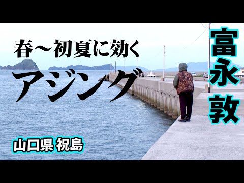 山口県の離島で春アジング攻略、尺アジは現れるのか！？ 1/2 『Azing Lab.2nd 70 富永敦』【釣りビジョン】