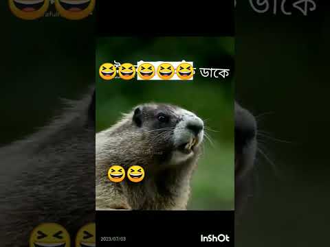 kuddus video hasir funny video 😂🤣🤣🤣