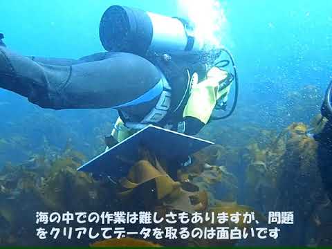 生物海洋学研究室（和田茂樹研） 紹介動画