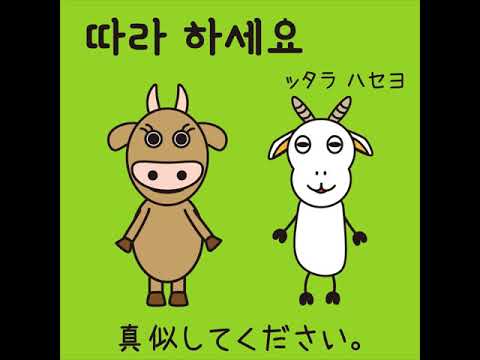 #60 「真似してください。」ッタラ ハセヨ (따라 하세요.)－1日ひとこと韓国語