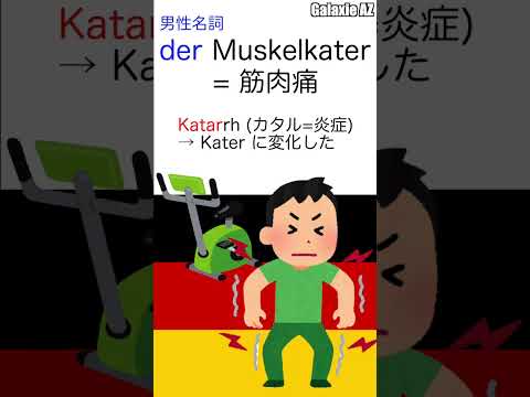 ドイツ🇩🇪語で「筋肉オス猫」って何？🧐 #shorts #ドイツ語 #ショート動画