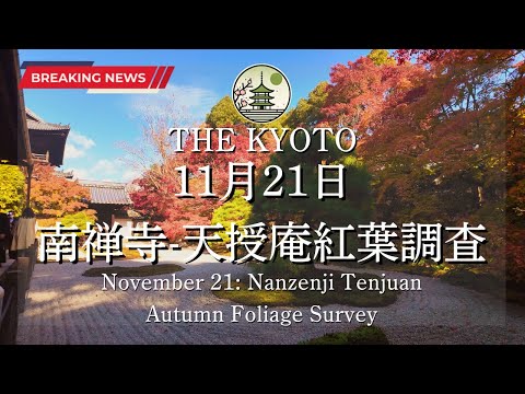 [News] The autumn leaves condition at Nanzen-ji and Tenjuan on November 21