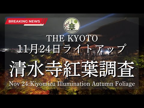 The status of autumn leaves at Kiyomizu Temple's light-up on November 24th