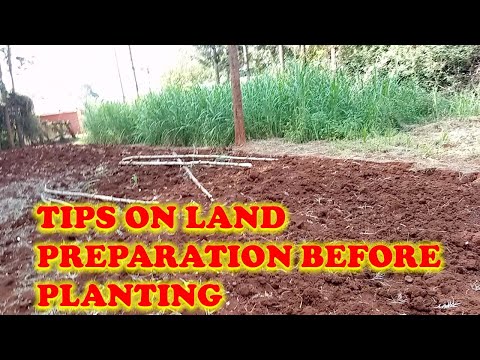 Tips on land preparation for planting