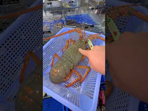 Buying MASSIVE Green Lobster