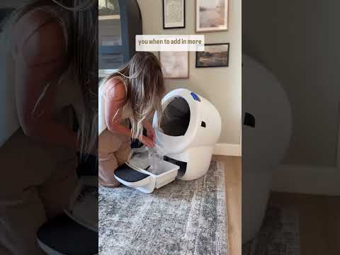 to say this litter-robot has changed our lives is an understatement 👀