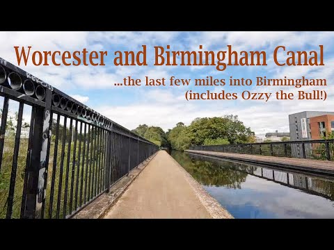 Worcester & Birmingham Canal, narrowboats, episode 6, (plus Ozzy the Bull)