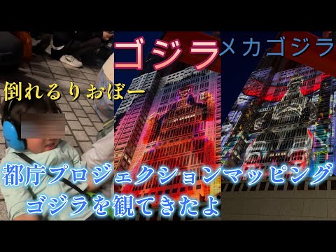 りおぼーが都庁プロジェクションマッピングを観てきたよ！