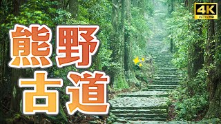 Wakayama World Heritage Nature Tour ⛩️ Wakayama Shingu City Free Travel Japan Travel 4K VLOG