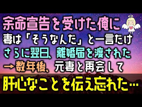 【感動する話】余命宣告を受けた俺に妻は「そうなんだ」と一言だけさらに翌日、離婚届を渡された→数年後、元妻と再会し。肝心なことを伝え忘れた…（泣ける話）感動ストーリー朗読