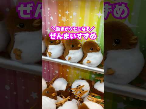 【注目】うごきかわいすぎ #すずめ #雑貨 #可愛い #クレーンゲーム #ゲームセンター