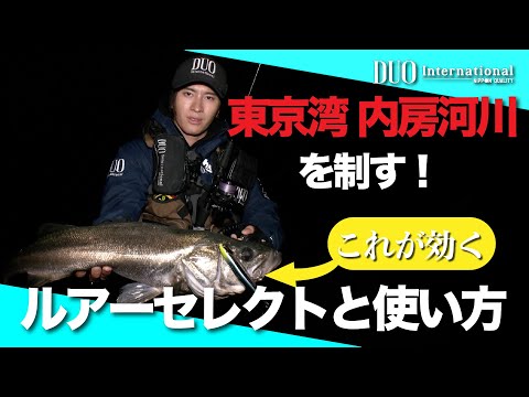 状況を読んでシーバス連釣！東京湾内房河川攻略のルアーセレクト術！