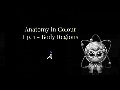 Anatomy in Colour - Episode 1 - Body Regions (Pilot)