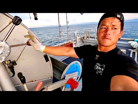 Net Fishing for the Most Expensive Fish in the Seto Inland Sea, Japan