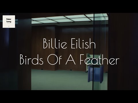 Billie Eilish - BIRDS OF A FEATHER (Chinese + English  Lyrics) | video musical