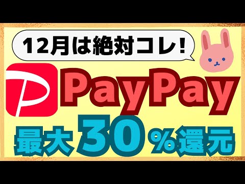 【要チェック】2025年1月以降もPayPayカード以外のクレカが使える！12月は花王で30％、東京都など自治体キャンペーンも多数あり！