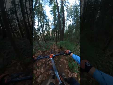 Log Drop #mountainbiking